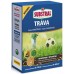 SUBSTRAL Samozahušťující tráva SPORT 3kg 1006112