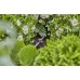GARDENA Micro-Drip-System Držák na trubky 3/16“ 13218-20 (15 ks)