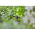 GARDENA Micro-Drip-System Držák na trubky 3/16“ 13218-20 (15 ks)