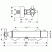 Hansgrohe AXOR CARLTON Sprchový termostat na omítku DN15, chrom/zlato 17261090