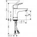 Hansgrohe Focus E2 - Páková umyvadlová baterie 100, chrom 31517000