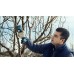 BOSCH PRO PRUNER PROFESSIONAL Akumulátorové zahradnické nůžky 12V, 2x 3,0Ah 06019K1021