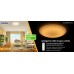 DALEN inteligentní LED stropní osvětlení DL-C408TX