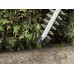 Einhell GC-CH 1855/1 Li-Solo Aku nůžky na živý plot (18V/bez aku) 3410502