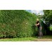 Metabo HS 8875 Nůžky na živý plot 608875000