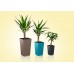 PLASTKON In- & Outdoor květináč Elise mat 30 cm hráškově zelená
