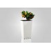 PLASTKON In- & Outdoor květináč Elise lesk 25 cm bílá
