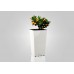 PLASTKON In- & Outdoor květináč Elise lesk 20 cm hráškově zelená