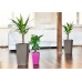 PLASTKON In- & Outdoor květináč Elise lesk 15 cm hráškově zelená