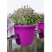 PLASTKON Balkónový květináč Balconia OVI na zábradlí 26 cm hráškově zelená