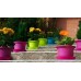 PLASTKON Květináč Campanula 9 cm terakota