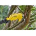 STANLEY SFMCPP632B FatMax V20 Aku nůžky na větve na tyči (18V/bez aku a nabíječky)