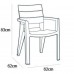 ALLIBERT IBIZA zahradní židle, 62 x 62 x 83 cm, Cappuccino 17197867