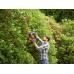 Black & Decker BEHTS501 elektrické nůžky na živý plot plotostřih 230V (60cm/600W)