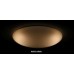 DALEN inteligentní LED stropní osvětlení DL-C408T