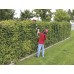 EINHELL Expert Plus nůžky na živý plot teleskopické GE-HH 18 LI T Kit 3410825