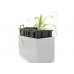 Samozavlažovací květináč G21 Combi bílý 56 x 28cm 6392480