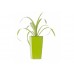 Samozavlažovací květináč G21 Linea mini zelený 14cm 6392472