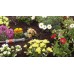 GARDENA Micro-Drip-System-základní redukční přístroj 1000, 1355-20