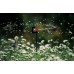 GARDENA Micro-Drip-System Rotační rozprašovací zavlažovač 360° 2 ks, 1369-29