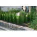 GARDENA MDS-kapací hadice nadzemní 13 mm (1/2"), 50m 1386-20