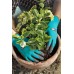 GARDENA rukavice na sázení rostlin a pro práci s půdou velikost 10 / XL 0208-20