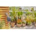 GARDENA Zavlažovací počítač EasyPlus 01897-20