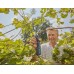 GARDENA AssistCut Akumulátorové zahradnické nůžky 25 mm, 12222-20