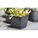 Prosperplast RATOLLA SQUARE Květináč s miskou 25cm, 8,2l, bílá DRLK250