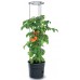Prosperplast TOMATO GROWER Květináč na pěstování rajčat, 39,2cm, antracit IPOM400
