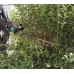 MAKITA UH007GZ Aku plotostřih 750 mm Li-ion XGT 40V, bez aku Z