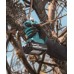 MAKITA DUP181Z Aku nůžky na vinnou révu, max. ø 30mm, Li-ion LXT 18V, bez aku Z
