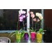 PROSPERPLAST COUBI květináč na orchidej 1,3l, zelená DUS130P