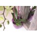 PROSPERPLAST COUBI Květináč vysoký 18,3 cm, zelená transparentní DUOW160P