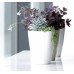 PROSPERPLAST COUBI květináč na orchideje 1,6l, bílá DUKO130P
