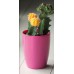 PROSPERPLAST COUBI květináč 13 cm, 1,5l, grafit DUOW130