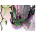 COUBI květináč na orchidej 12 cm, 1,1l, bílá DSTO125M