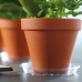 PROSPERPLAST COUBI miska pod květináč 21x3cm čirá PPC210