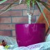 PROSPERPLAST COUBI květináč 1l, bordo DUO120