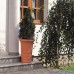Květináč VERONA 30 cm, 16l, terakotová DPV30