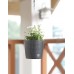 Prosperplast RATO ROUND W Závěsný květináč se zavlažováním 25,6cm, 6,5l, umbra DRTW260