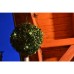 SHARKS LED solární buxus SA035