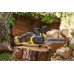STANLEY SFMCCS730M1 FatMax V20 Aku bezuhlíková řetězová pila 30cm (18V/1x4,0Ah)