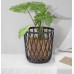 Prosperplast UNIQUBO Univerzální koš s jutovým pytlem 39cm, 35l, antracit IKUB35J