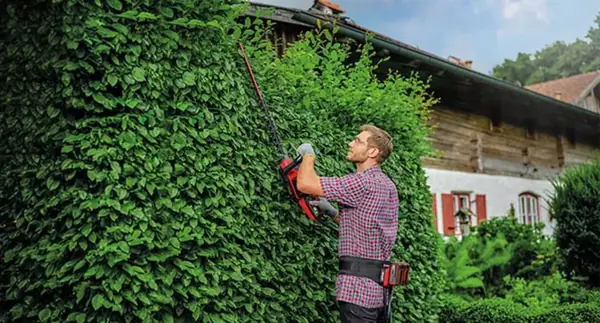 Muž stříhá vysoký živý plot nůžkami na živý plot a má na sobě aku-pás Einhell GE-PB 36/18 Li se třemi akumulátory.