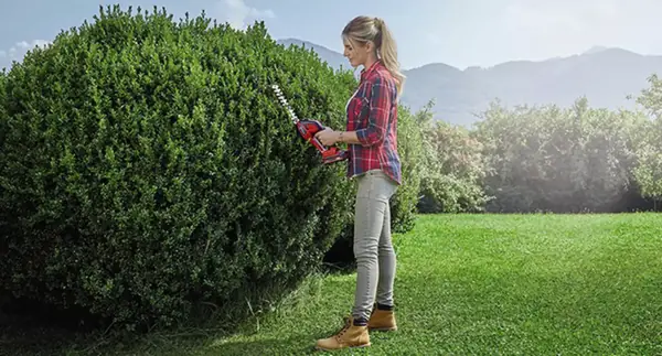 Žena stojí na zahradě a stříhá velký živý plot pomocí aku nůžek na trávu a keře Einhell GE-CG 18/100 Li-Solo.